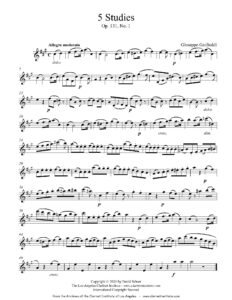 Gariboldi, Giuseppe - 5 Studies, Op. 131 No. 1
