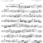 Pierne - Solo de Concert for Bassoon and Piano