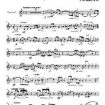 Müller, Bernhard - Fantasie Erinnerung an Weber, Op.66