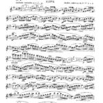 Andersen, Joachim - 2 Salon Pieces for Flute and Piano, Op. 6