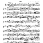 Andersen, Joachim - Impromptu No.2, Op. 54